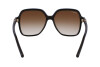 Sunglasses Salvatore Ferragamo SF1083S (208)