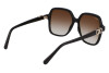 Sunglasses Salvatore Ferragamo SF1083S (208)