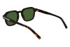 Солнцезащитные очки Salvatore Ferragamo SF1089SN (219)