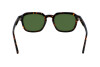 Солнцезащитные очки Salvatore Ferragamo SF1089SN (219)