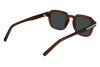 Солнцезащитные очки Salvatore Ferragamo SF1089SN (278)