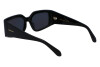 Sunglasses Salvatore Ferragamo SF1101S (001)