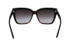 Sunglasses Salvatore Ferragamo SF1102S (006)