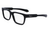 Eyeglasses Salvatore Ferragamo SF2941 (001)