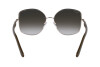 Sunglasses Salvatore Ferragamo SF304S (750)