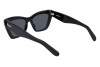 Sunglasses Salvatore Ferragamo SF929S (001)