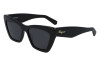 Sunglasses Salvatore Ferragamo SF929S (001)