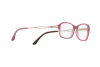 Eyeglasses Sferoflex SF 1557B (C585)