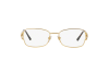 Eyeglasses Sferoflex SF 2576 (493)