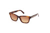 Sunglasses Swarovski SK0374 (52F)