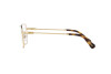 Eyeglasses Swarovski SK 1003 (4013)