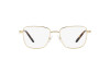 Eyeglasses Swarovski SK 1003 (4013)