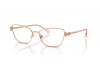 Eyeglasses Swarovski SK 1006 (4014)