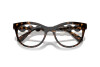 Eyeglasses Swarovski SK 2025 (1002)