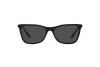 Солнцезащитные очки Swarovski SK 6004 (100187)
