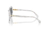 Солнцезащитные очки Swarovski SK 6017 (104287)