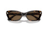 Солнцезащитные очки Swarovski SK 6019 (100273)