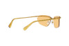 Солнцезащитные очки Swarovski SK 7001 (4007/8)