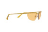 Солнцезащитные очки Swarovski SK 7001 (4007/8)