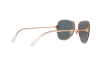 Sunglasses Tiffany TF 3066 (61054Z)
