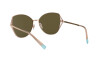 Sunglasses Tiffany TF 3072 (61390W)