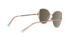 Sunglasses Tiffany TF 3072 (61390W)