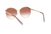 Sonnenbrille Tiffany TF 3073B (61396F)