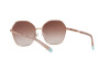 Sunglasses Tiffany TF 3081 (61056F)