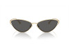 Sunglasses Tiffany TF 3095 (6021S4)