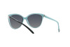 Sunglasses Tiffany TF 4089B (8055T3)