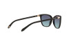 Occhiali da Sole Tiffany TF 4105HB (80019S)