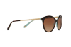 Occhiali da Sole Tiffany TF 4117B (81343B)