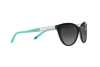Солнцезащитные очки Tiffany TF 4119 (81913C)
