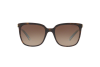 Lunettes de soleil Tiffany TF 4138 (81343B)