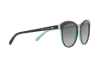 Occhiali da Sole Tiffany TF 4146 (80553C)