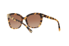 Lunettes de soleil Tiffany TF 4150 (80643B)