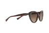 Sunglasses Tiffany TF 4163 (82803B)