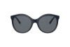 Sunglasses Tiffany TF 4175B (833155)