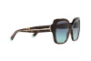 Sunglasses Tiffany TF 4183 (80159S)