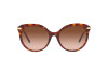 Sonnenbrille Tiffany TF 4189B (80023B)