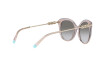 Sonnenbrille Tiffany TF 4189B (83353C)