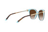 Lunettes de soleil Tiffany TF 4193B (81343B)