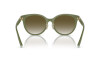 Sunglasses Tiffany TF 4209D (83687Z)
