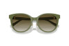 Sunglasses Tiffany TF 4209D (83687Z)