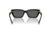 Sunglasses Tiffany TF 4213 (8001S4)