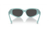 Sunglasses Tiffany TF 4217 (838887)