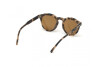 Lunettes de soleil Tod's TO0260 (55E)