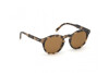 Sunglasses Tod's TO0260 (55E)