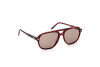 Sonnenbrille Tod's TO0307 (68J)