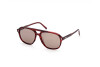 Sonnenbrille Tod's TO0307 (68J)